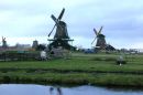 109_0989 * 800 x 533 * (61KB)